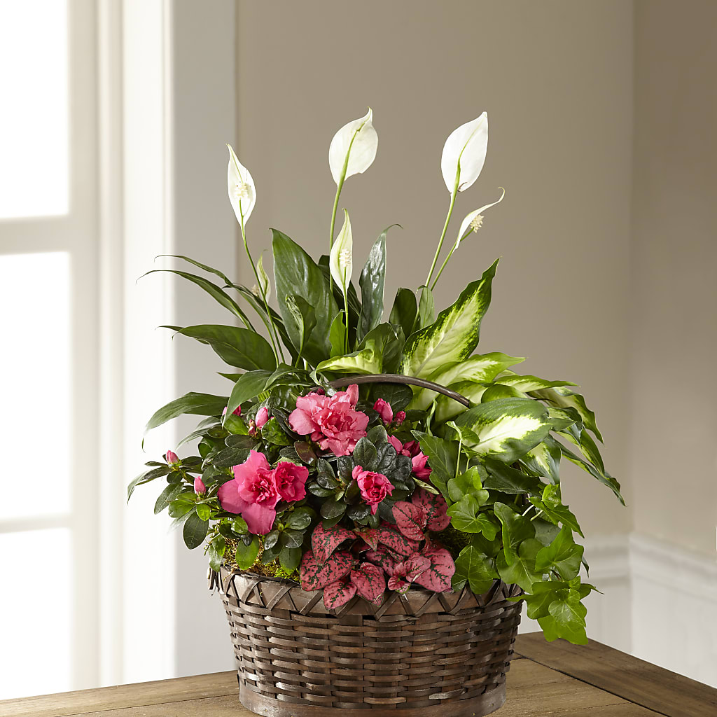 Dream in Pink Dishgarden – Flowers By Aylen Llc, Fort Pierce FL