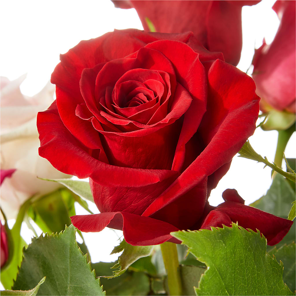 Love Notes Rose Bouquet – Flowers By Aylen Llc, Fort Pierce FL