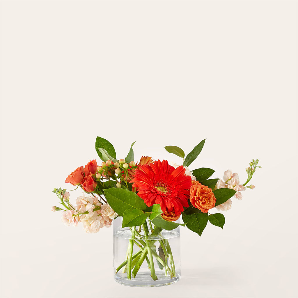 Paloma Please Bouquet – Flowers By Aylen Llc, Fort Pierce FL