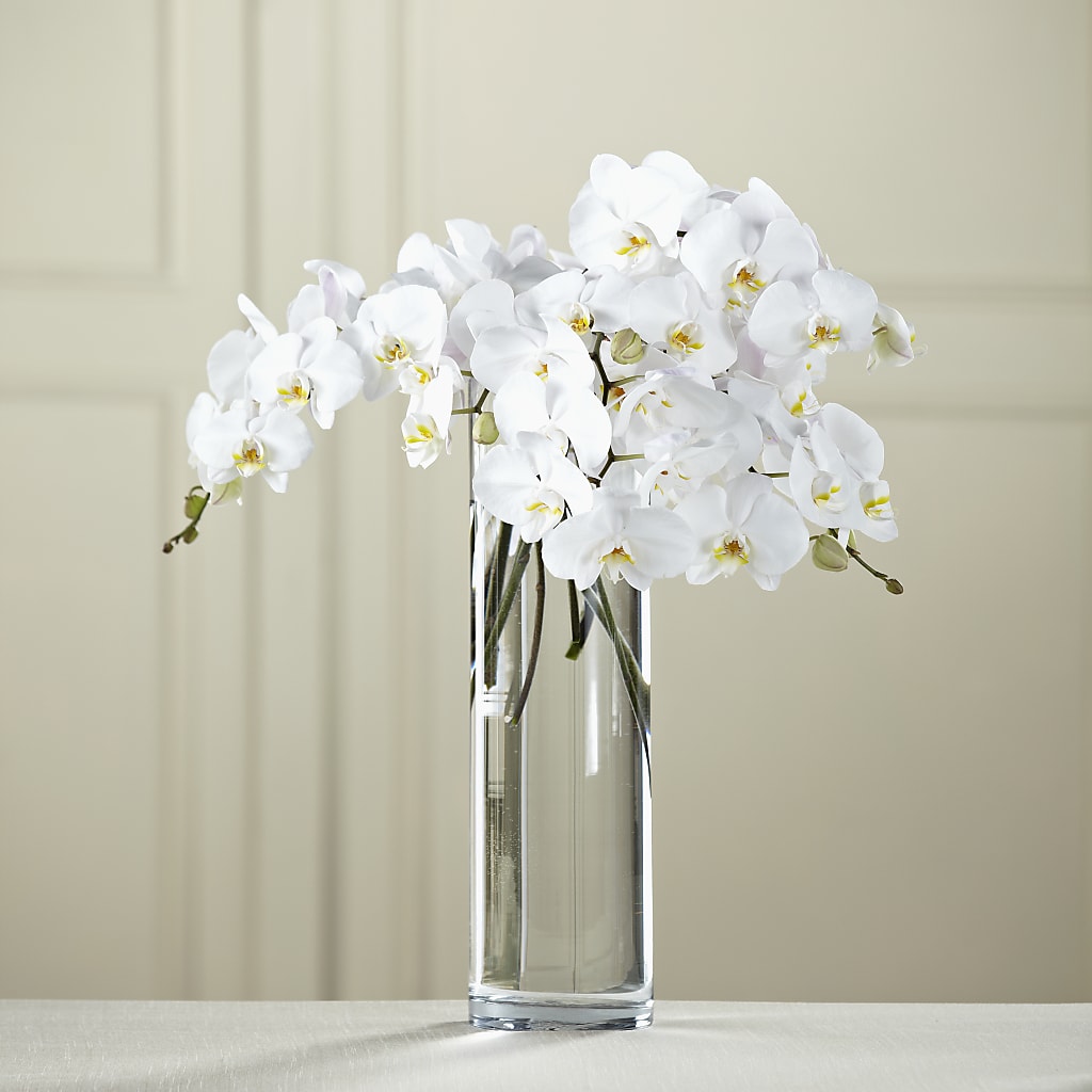 White Phalaenopsis Bouquet – Flowers By Aylen Llc, Fort Pierce FL