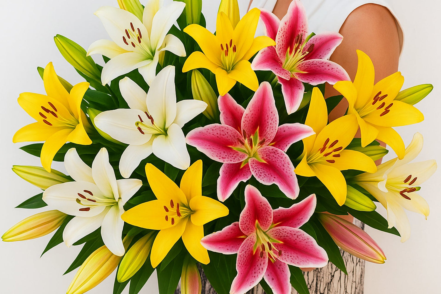 Lilies