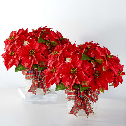 Happiest Holidays Poinsettia Bundle –  Flowers By Aylen Llc, Fort Pierce FL