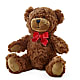 Adorable Plush Bear –  Flowers By Aylen Llc, Fort Pierce FL