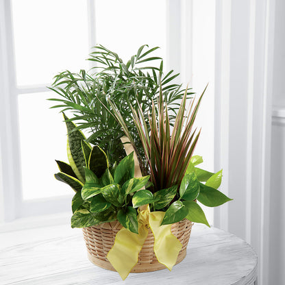 French Garden –  Flowers By Aylen Llc, Fort Pierce FL