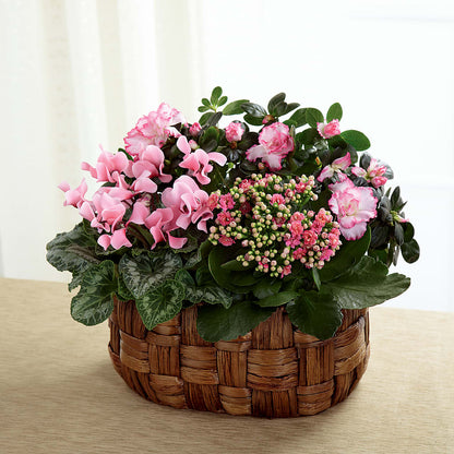 Pink Assortment –  Flowers By Aylen Llc, Fort Pierce FL