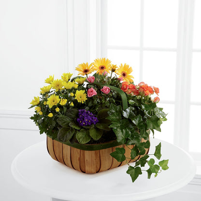Gentle Blossoms Basket –  Flowers By Aylen Llc, Fort Pierce FL