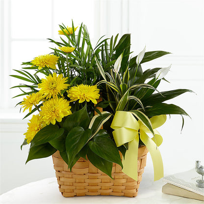 Loving Light Dishgarden –  Flowers By Aylen Llc, Fort Pierce FL