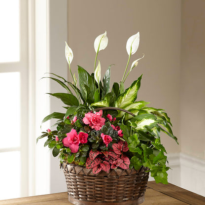 Dream in Pink Dishgarden –  Flowers By Aylen Llc, Fort Pierce FL