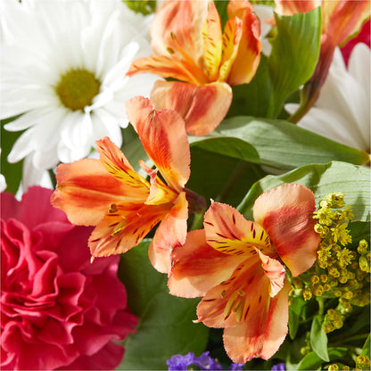 Oopsie Daisy Box Bouquet –  Flowers By Aylen Llc, Fort Pierce FL