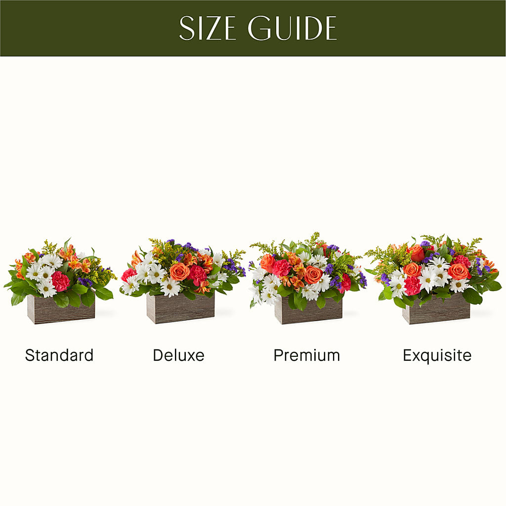 Oopsie Daisy Box Bouquet –  Flowers By Aylen Llc, Fort Pierce FL