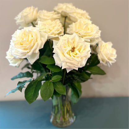 Long Stem Yellow Rose Bouquet –  Flowers By Aylen Llc, Fort Pierce FL