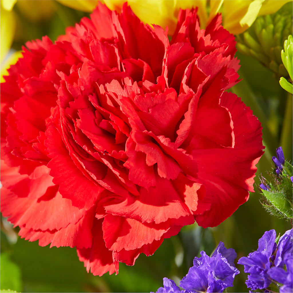 Brighter Days Bouquet –  Flowers By Aylen Llc, Fort Pierce FL