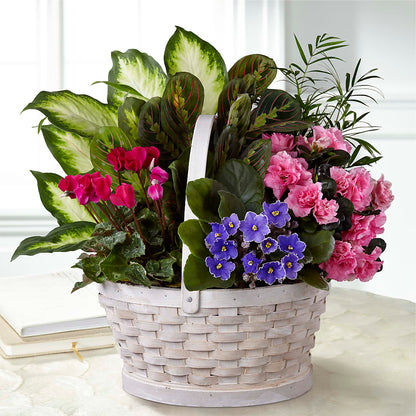 Peaceful Garden Planter –  Flowers By Aylen Llc, Fort Pierce FL