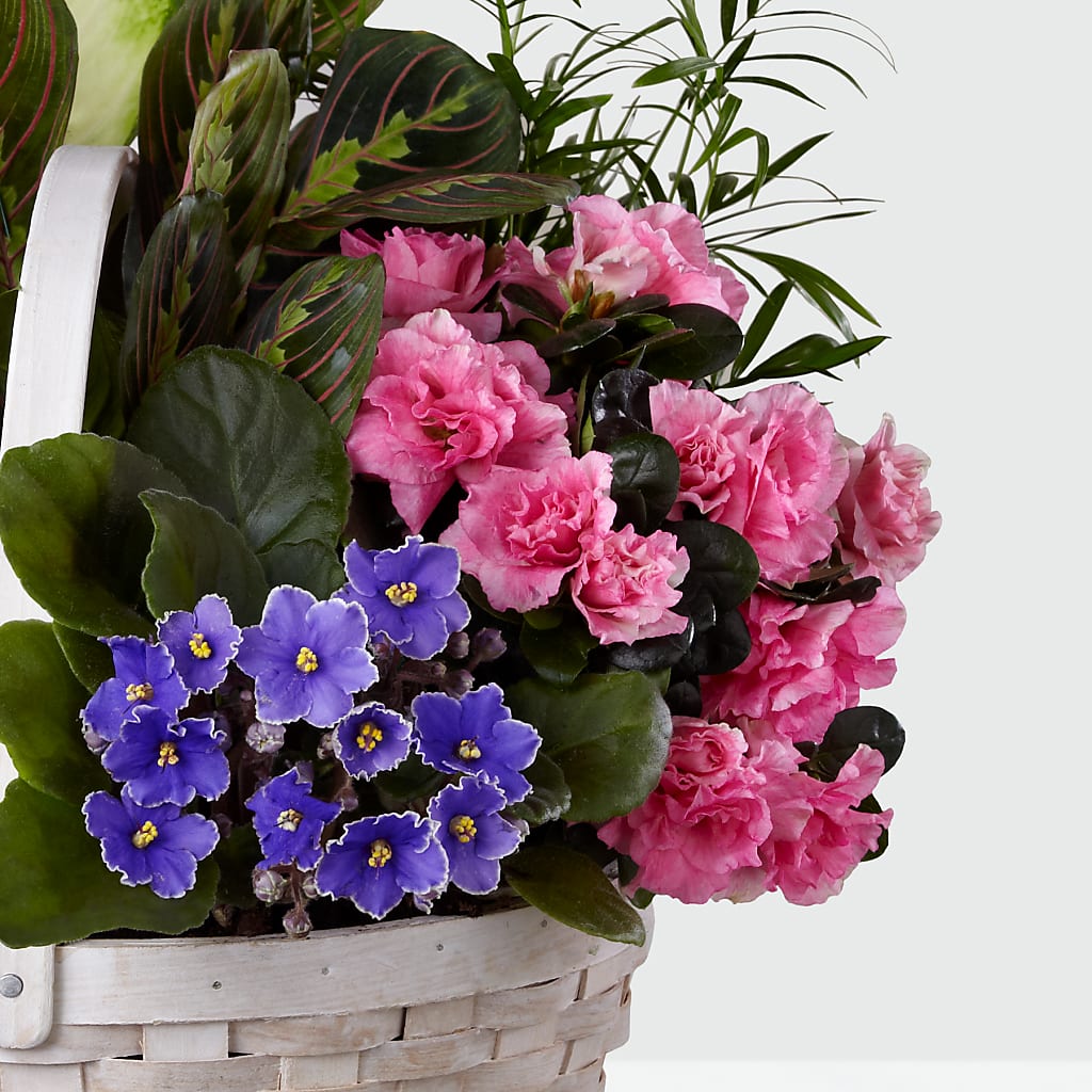 Peaceful Garden Planter –  Flowers By Aylen Llc, Fort Pierce FL