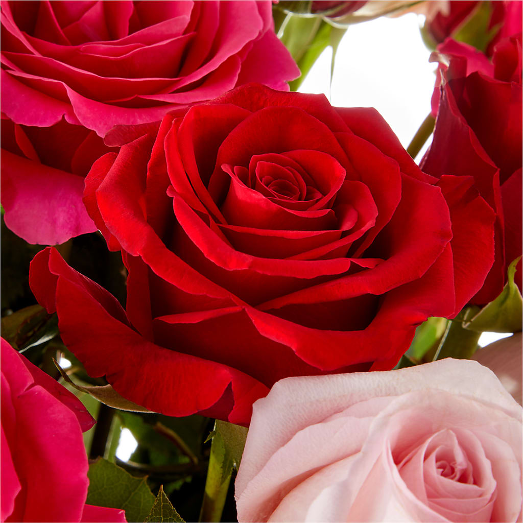 Love Notes Rose Bouquet –  Flowers By Aylen Llc, Fort Pierce FL