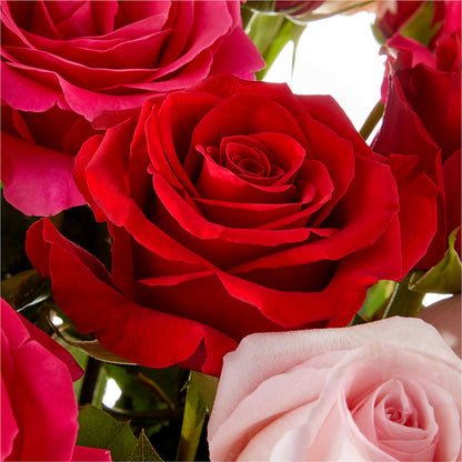 Love Notes Rose Bouquet –  Flowers By Aylen Llc, Fort Pierce FL