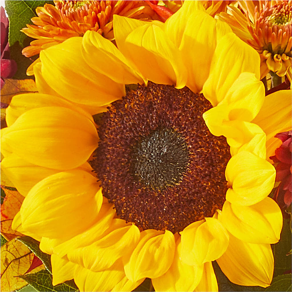Sunny Side Bouquet –  Flowers By Aylen Llc, Fort Pierce FL