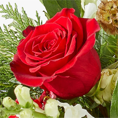 Deck the Halls Bouquet –  Flowers By Aylen Llc, Fort Pierce FL