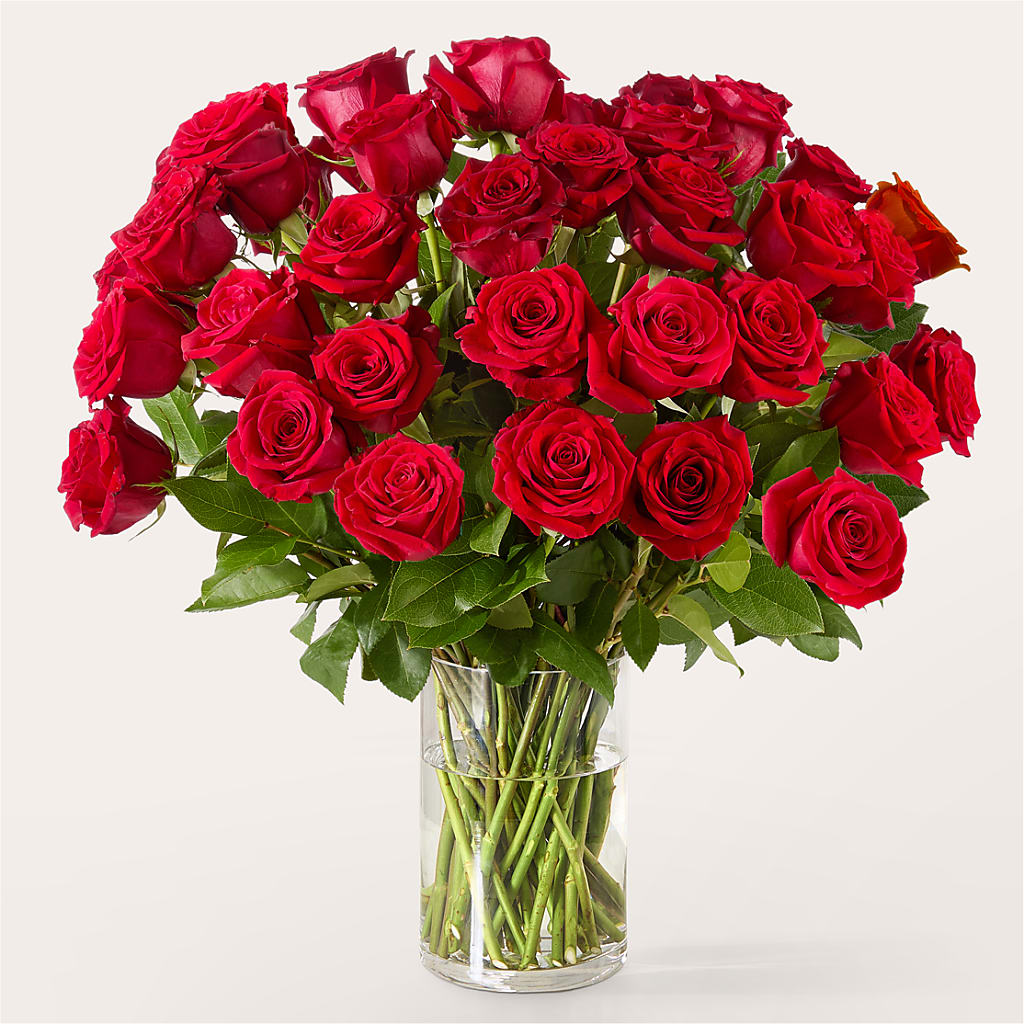 The One Red Rose Bouquet –  Flowers By Aylen Llc, Fort Pierce FL