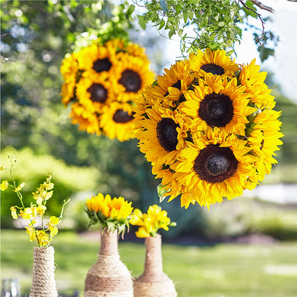 Sublime Garden Hanging Arrangement –  Flowers By Aylen Llc, Fort Pierce FL