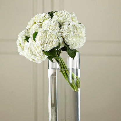 White Hydrangea Hand-Tied Bouquet –  Flowers By Aylen Llc, Fort Pierce FL