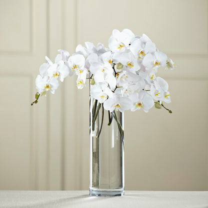 White Phalaenopsis Bouquet –  Flowers By Aylen Llc, Fort Pierce FL